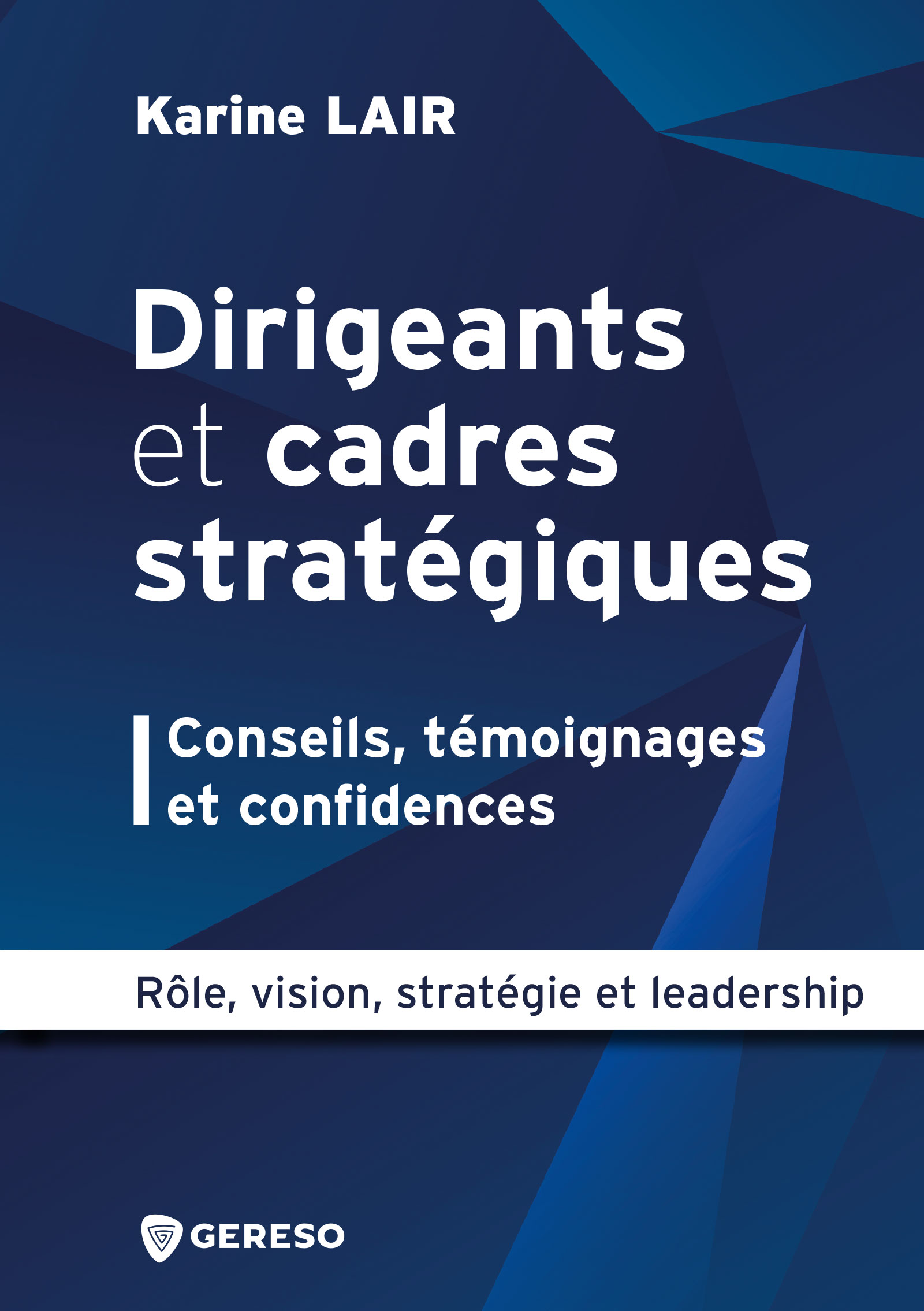 Dirigeants et cadres strategiques Conseils temoignages et confidences